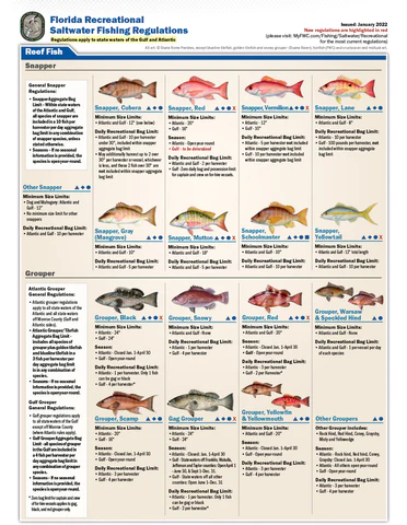 Saltwater Regulations – Bay Breeze Bait & Tackle